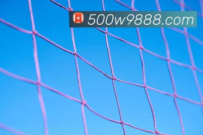 500万彩票网APP 封面图